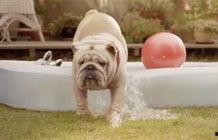 卡门背景音乐,激情燃烧的旋律，探秘异域风情