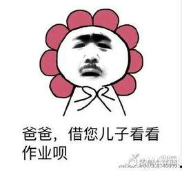 我已经憔悴表情包,揭示现代人的心灵疲惫